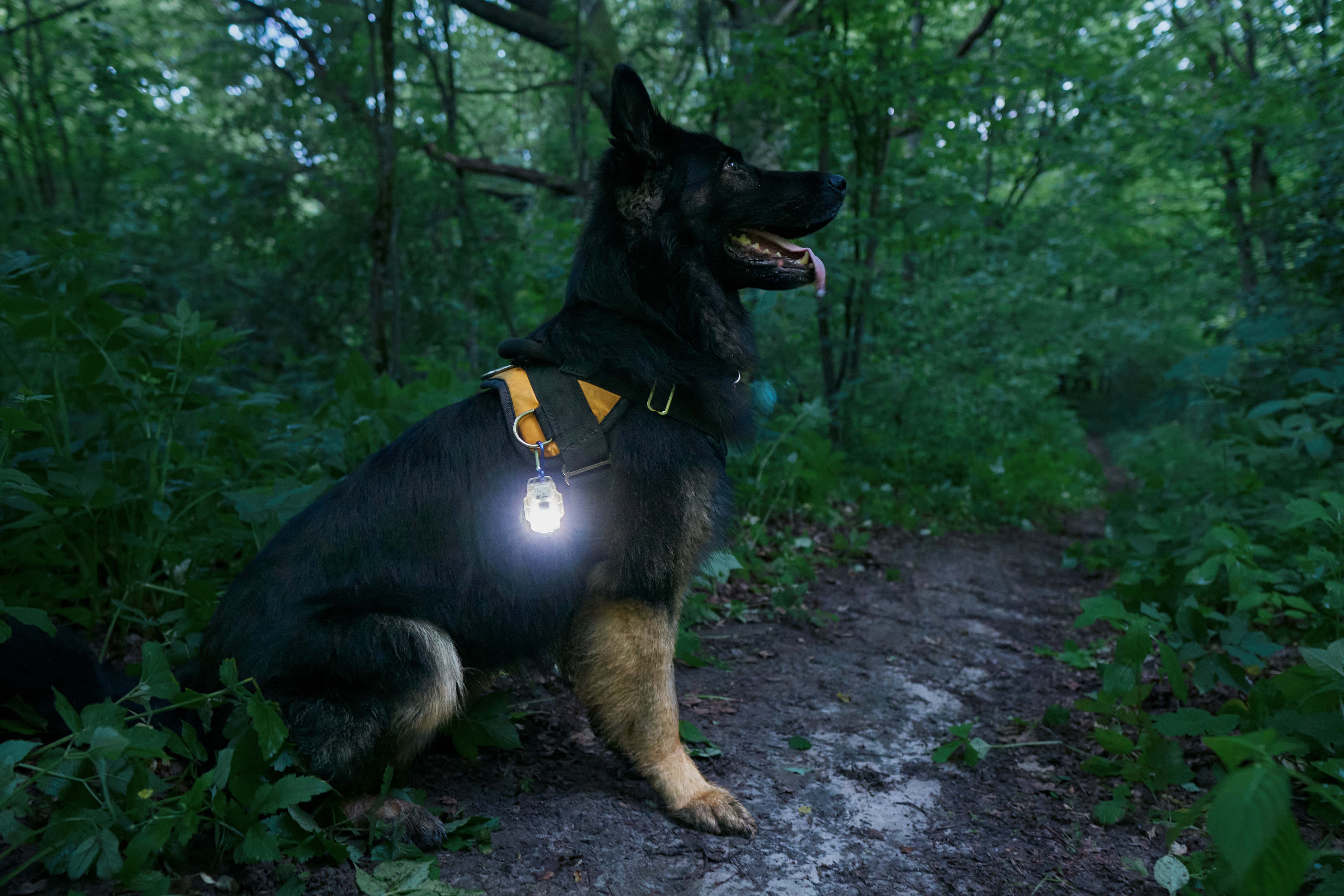 Armytek Crystal Pro IR Grey