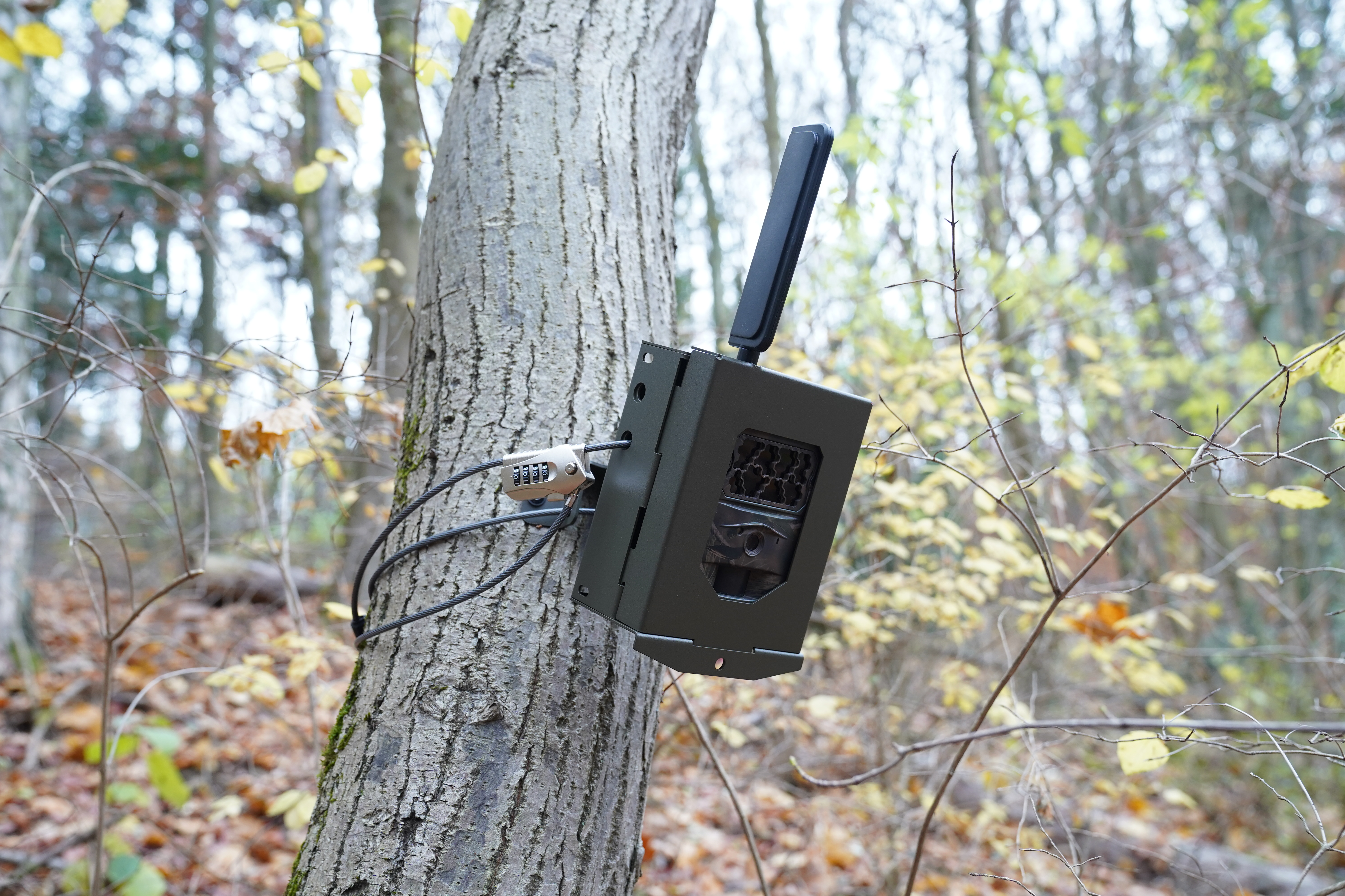 Stahlgehäuse passend für SEISSIGER Pro-Cam LTE / Special / CLASSIC / 2G