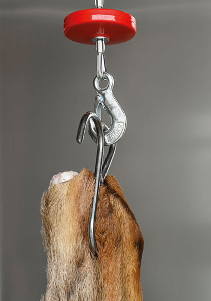 Landig S Haken Mit Ring Speziell Fuer Winden Z44049 1.Jpg?Ts=1773601436