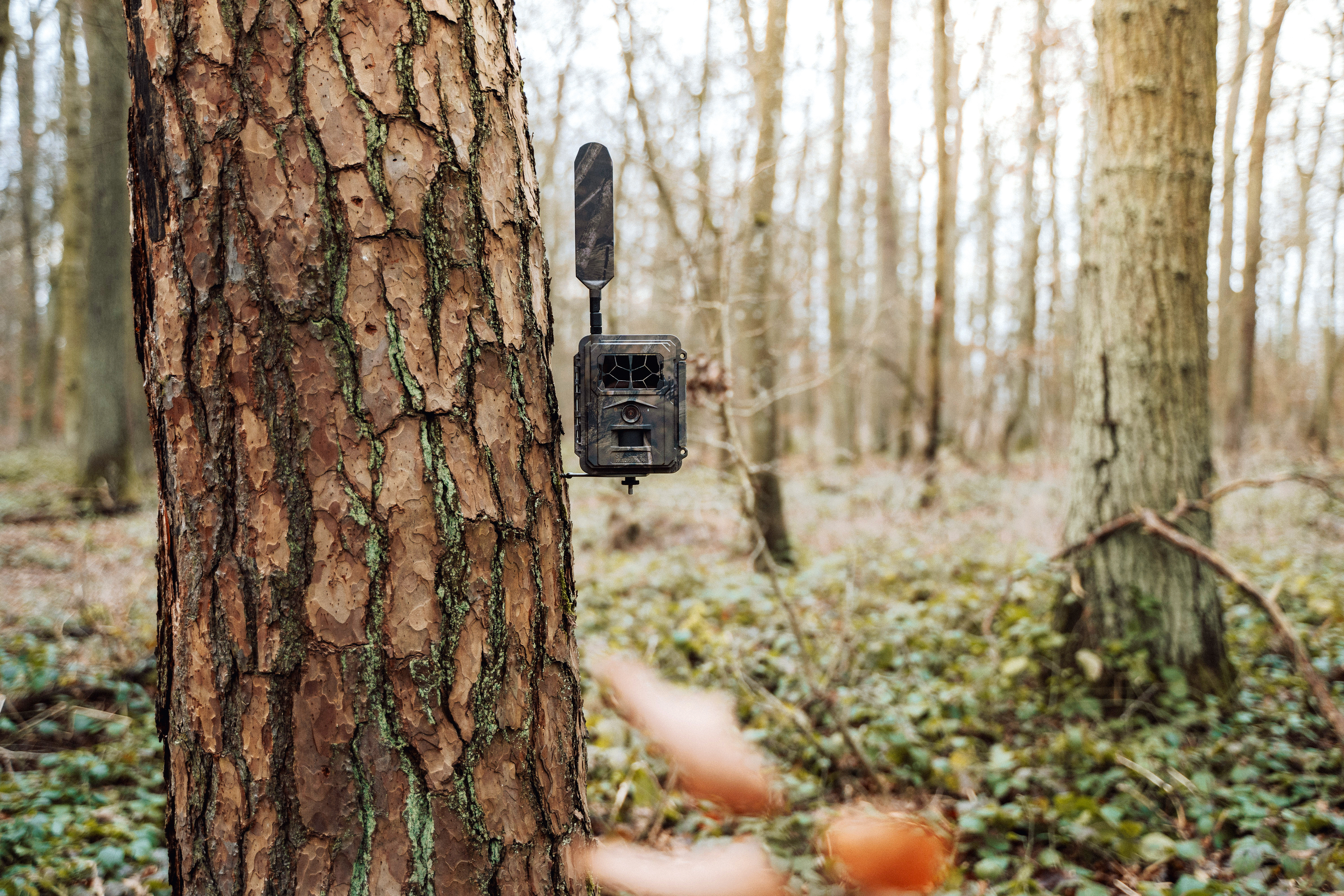 SEISSIGER Pro-Cam LTE - SUPERSIM-Edition