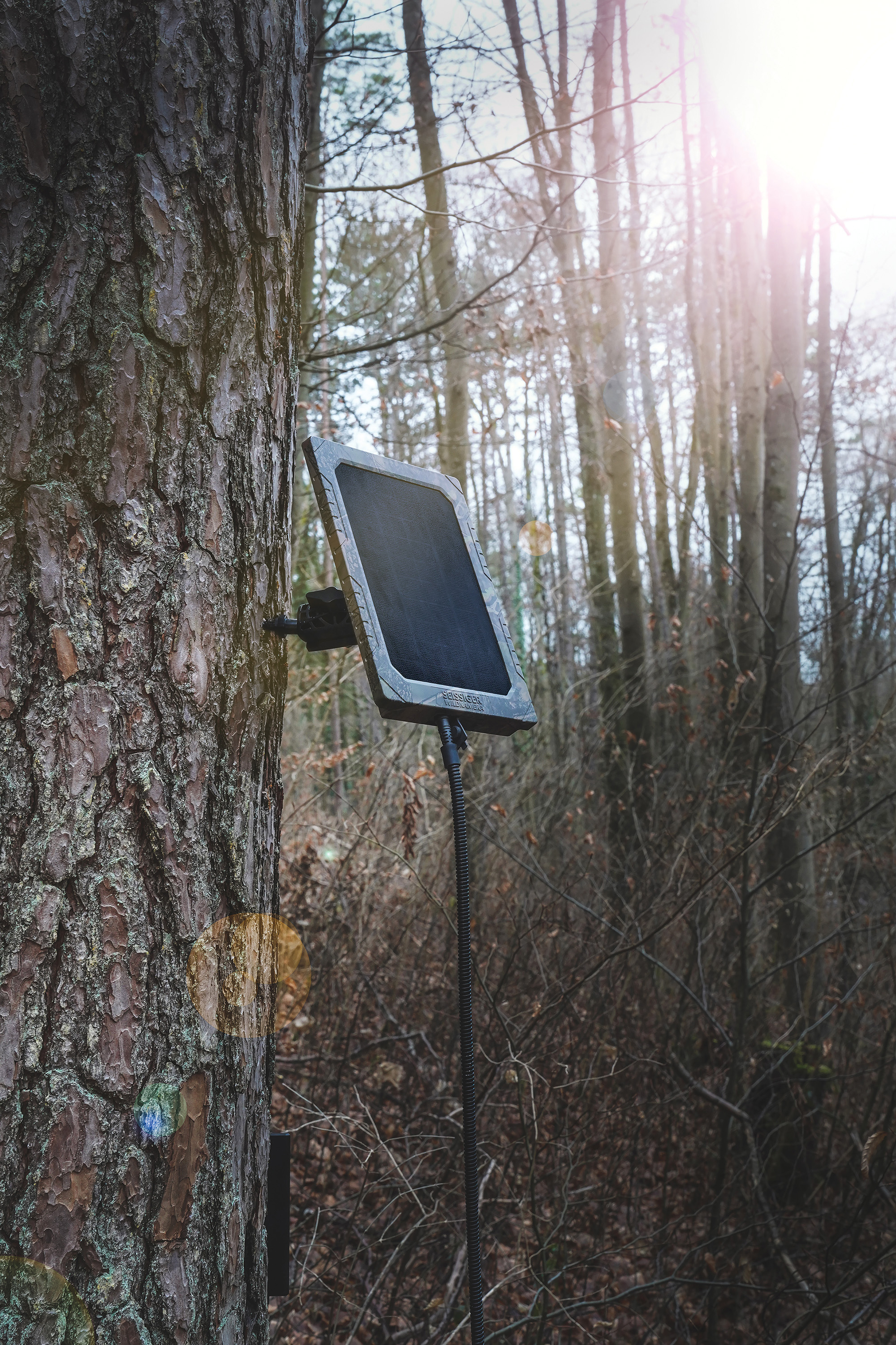 Solarpanel für Wildkameras