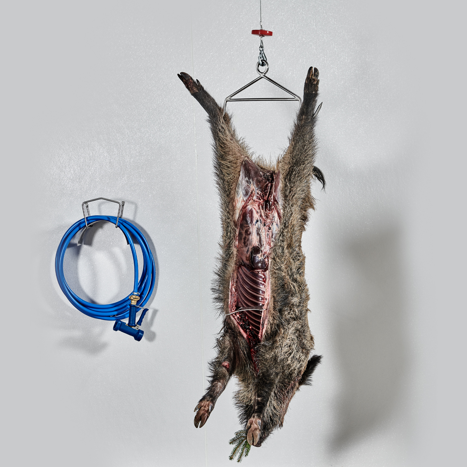 Landig Wildgalgen Edelstahl Aufbrechhilfe